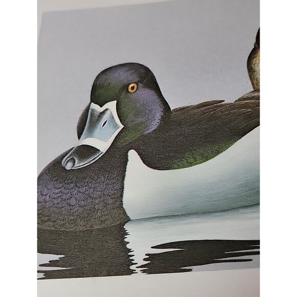 John P Lee 1982 Pair Of Ducks Unframed print #7/625 Pencil Signed 11⅛ x 10¼ - Picture 6 of 7